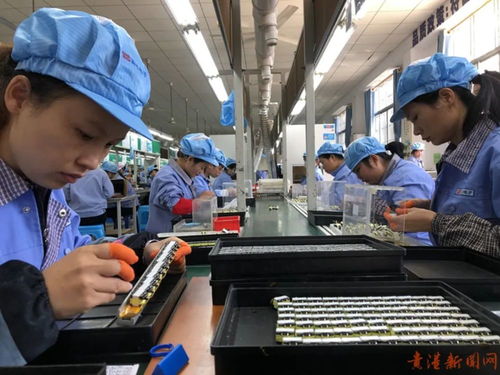 貴港這家企業(yè)把工廠搬到 家門口 原因是