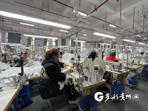 工廠建在家門(mén)口 產(chǎn)業(yè)就業(yè)雙豐收，職業(yè)中介活動(dòng)助力發(fā)展